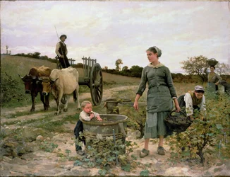 Ecke eines Weinbergs, Languedoc, 1886